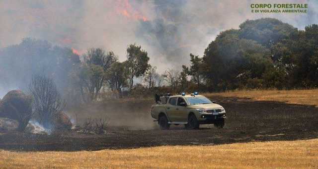 Fuoco corpo forestale