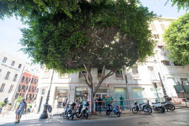 Cagliari, drastica potatura di un ficus tra piazza Yenne e il Corso