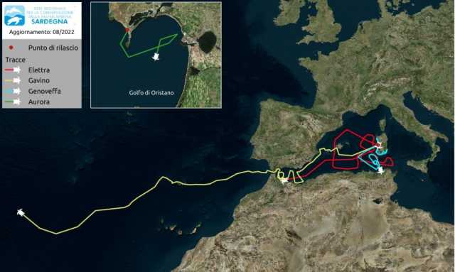 Il viaggio della tartaruga Gavino dalla Sardegna all'America centrale: percorsi 5500 km