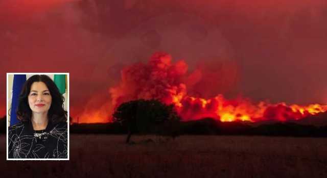 Incendi Montiferru, 3 milioni di euro per gli agricoltori: "Acceleriamo i tempi"