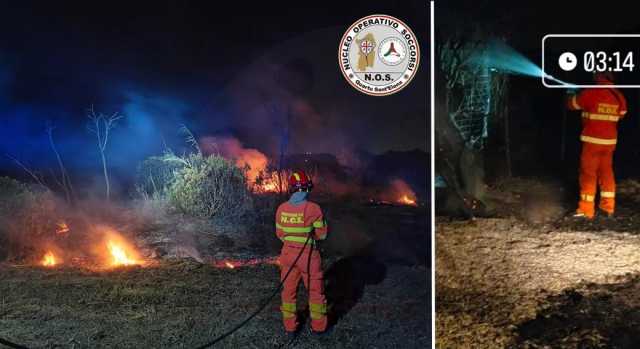 Brucia ancora il parco di Molentargius, tre roghi nella notte: animali in pericolo