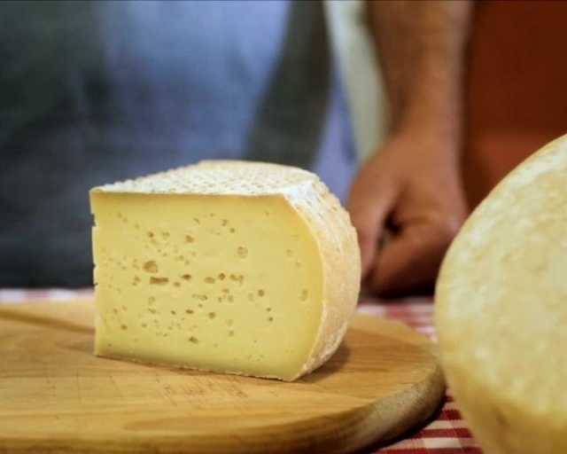 Fontina Dop