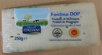 fontina1.jpg