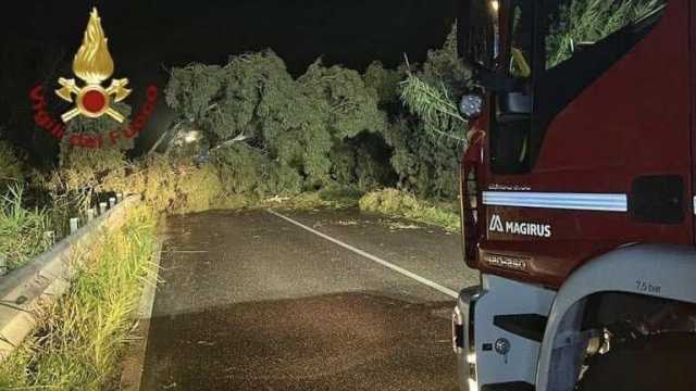 Vigili Del Fuoco Albero Su 131