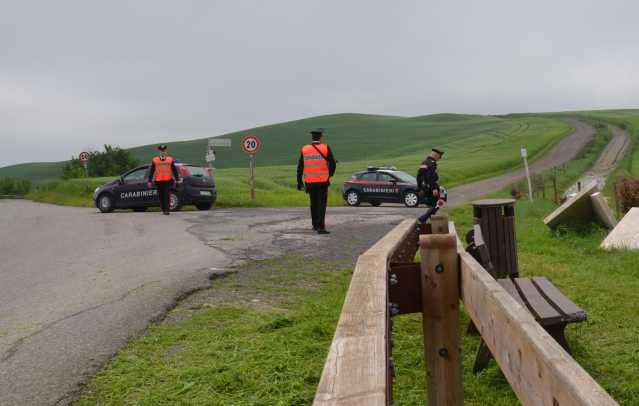 Lunamatrona, due auto si schiantano contro un gregge: 12 pecore morte