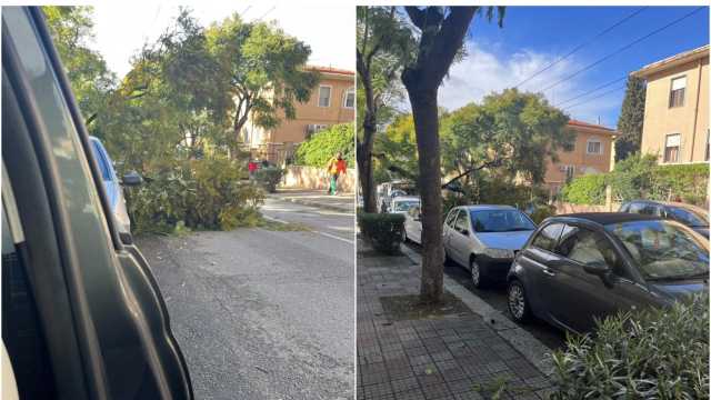 Cagliari, il maltempo fa crollare un albero in via Milano: prorogata l'allerta meteo