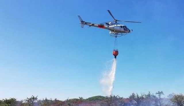 incendio corpo forestale