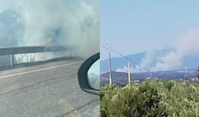 Incendi 31 Luglio Sardegna