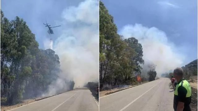 Youtg Net Paura A Castiadas Per Un Incendio All Ingresso Di Cala Pira