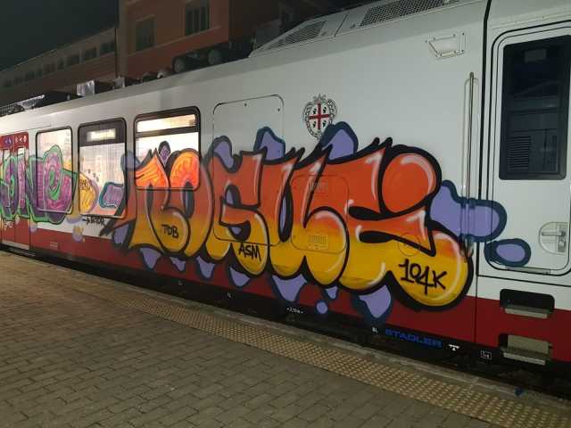 Uno dei treni