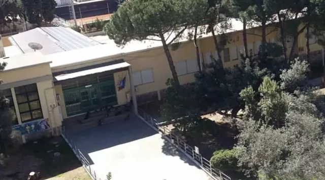 Intervento anti blatte, chiusa per due giorni la scuola di via Garavetti a Cagliari
