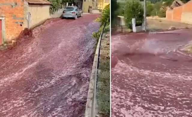 Strade Invase Dal Vino