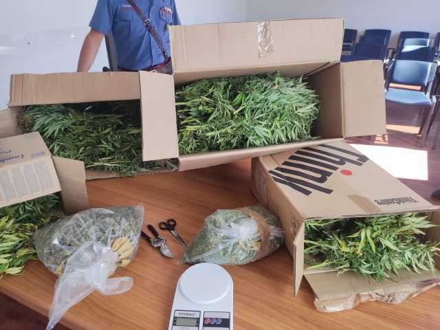 Assemini, 29enne insospettabile nascondeva scatole piene di cannabis in casa