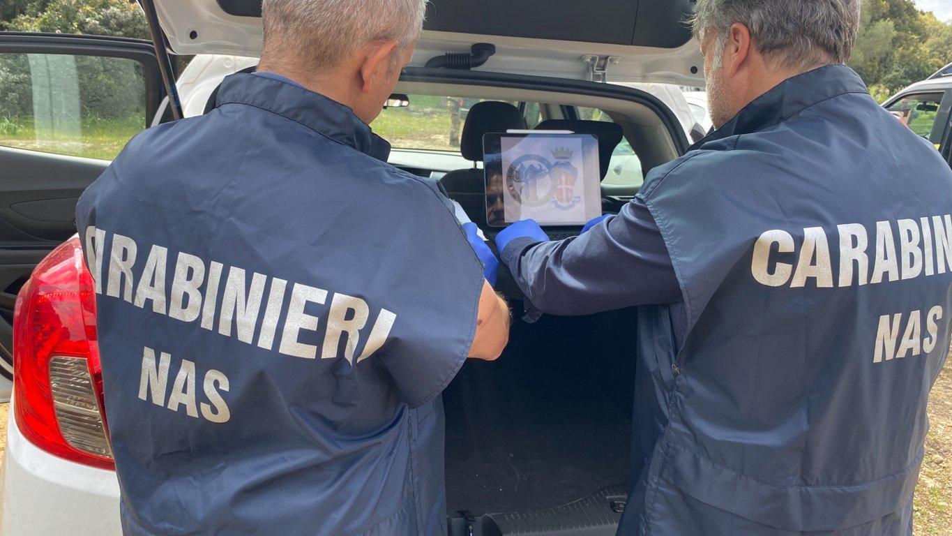 Sicurezza Alimentare. Sequestrati 320 Kg Di Alimenti Canei Ed Ittici Ad Unattività Di Ristorazione Del Nuorese