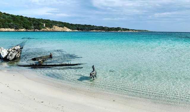 Una spiaggia 