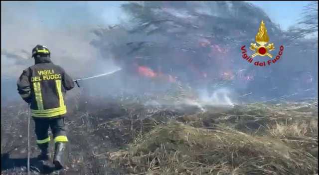 Grosso incendio nell'Oristanese, evacuate alcune case: fiamme anche a San Sperate