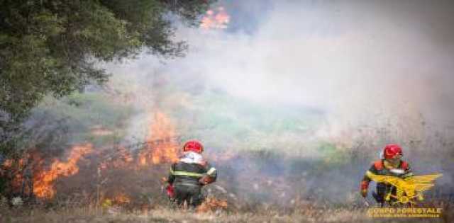 Appicca numerosi incendi nell'Oristanese: arrestato il piromane