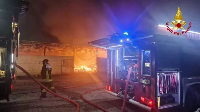 Fienile a fuoco nelle campagne di Oniferi: bruciati due mezzi agricoli (Video)