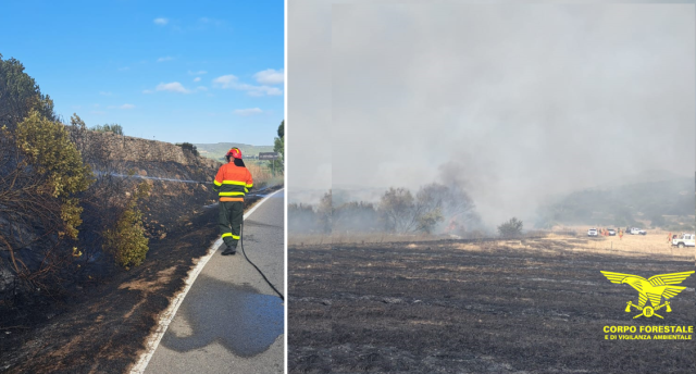 Incendi Cenere Sardegna