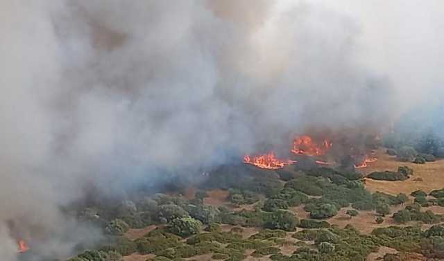 Incendio Vegetazione Fumo