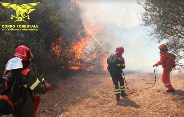 Un'altra giornata di incendi in Sardegna: 19 roghi spenti dal Corpo Forestale