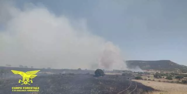 Grosso incendio a Usellus, il fuoco si dirige verso l'altopiano della Giara: quattro canadair in volo