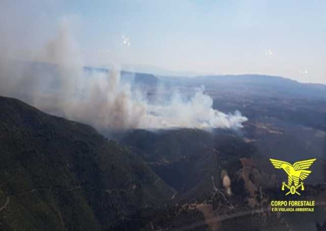 Dieci incendi in Sardegna: quattro richiedono l'intervento aereo