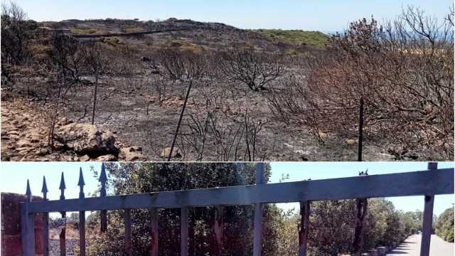 Carbonia Dopo Incendio