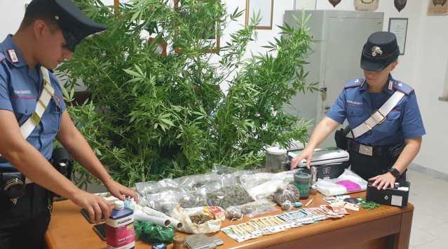 Un chilo di cannabis nascosti in casa a Settimo: arrestato un 33enne 