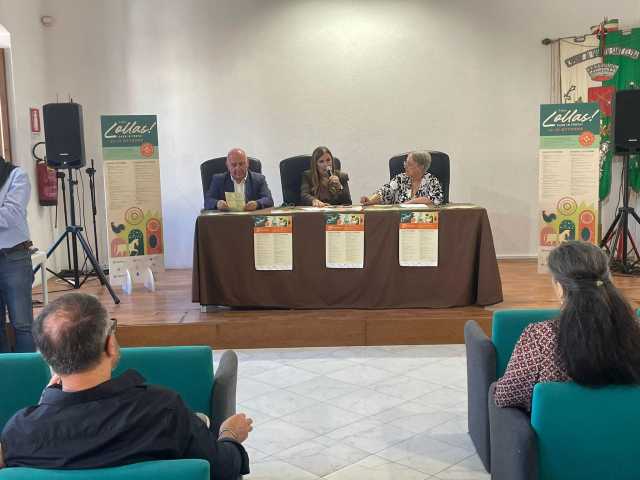 Conferenza Stampa Lollas 2024 