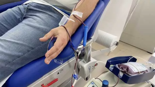 Più di 56mila sacche di sangue raccolte in un anno: Avis celebra 