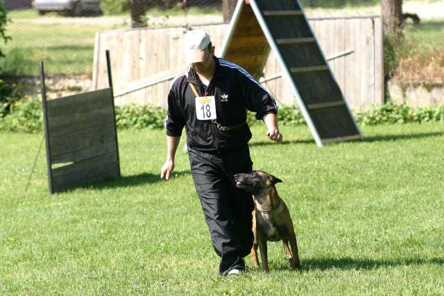 A Cagliari la Asl organizza un corso gratuito per i proprietari di cani