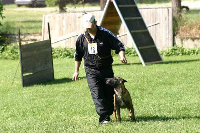 A Cagliari la Asl organizza un corso gratuito per i proprietari di cani