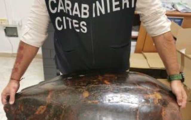 Carabinieri Sequestro