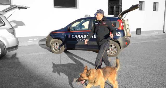 Cane legato a un anello fissato al muro: denunciato per maltrattamenti a Villasimius