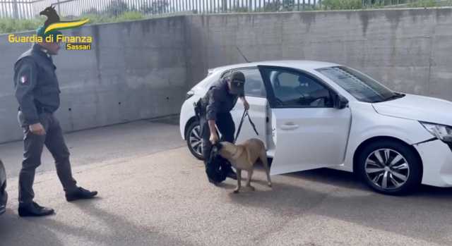 Arriva al porto di Olbia con 1 chilo di cocaina nello zaino: arrestato corriere della droga (Video)