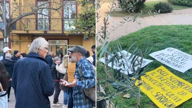 Rivolta degli ulivi a Selargius, nuovo sit-in dopo lo sgombero: 