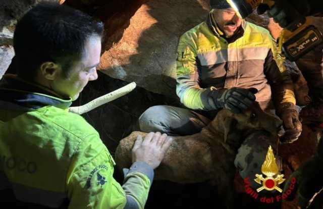 Ballao, salvato dai vigili del fuoco il cane incastrato sotto una roccia