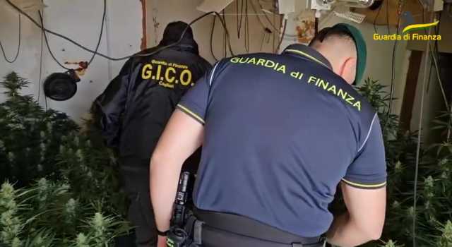 Droga tra Sardegna e Paesi Bassi: confiscati beni per 3 milioni di euro a cinque trafficanti