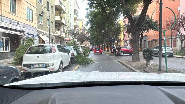 Cagliari, in via Dante crolla un enorme ramo su un'auto parcheggiata