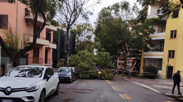 Cagliari, in via Dante e via Pessina il vento fa crollare due alberi sulle auto in sosta (video)