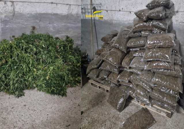 Sarule, maxi sequestro di marijuana in un capannone: arrestato un 49enne