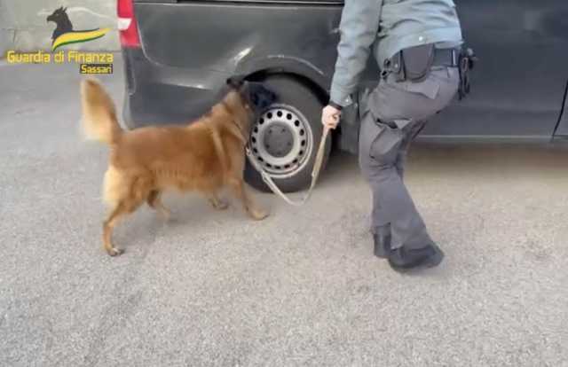 Un carico di 11 chili di droga su un minivan: la scoperta al porto di Olbia, corriere in manette (Video)