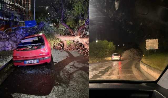 Alberi crollati, blackout e strade chiuse: inizia la conta dei danni del maltempo in Sardegna