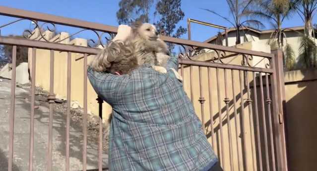 Incendi a Los Angeles, ritrova il suo cane sopravvissuto tra le macerie della casa (Video)