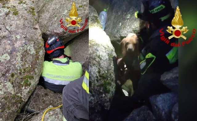 Berchidda, un cane resta incastrato fra i blocchi di granito: salvato dai vigili del fuoco