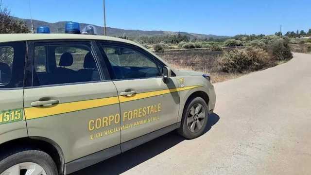 Stop alle costruzioni illegali e disboscamenti in Sardegna: sigilli su immobili e strade abusive