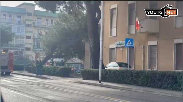 Cagliari, in viale Diaz cade un grosso ramo a pochi passi dalla strada (VIDEO)