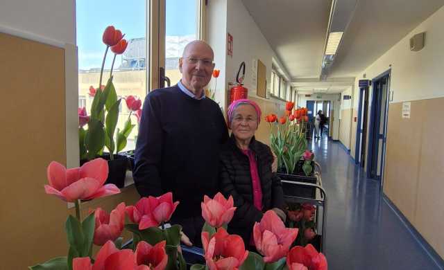 Cagliari, all'oncologico arriva la primavera con i tulipani del Giardino di Lu