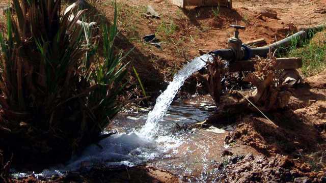 Siccità, le piogge delle ultime settimane salvano (per ora) l'agricoltura del Sud Sardegna